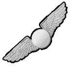 وینگ خلبانی